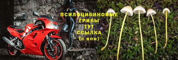 гашик Абаза