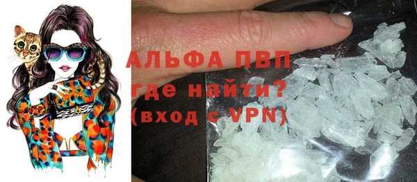 гашик Абаза