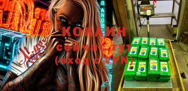гашик Абаза